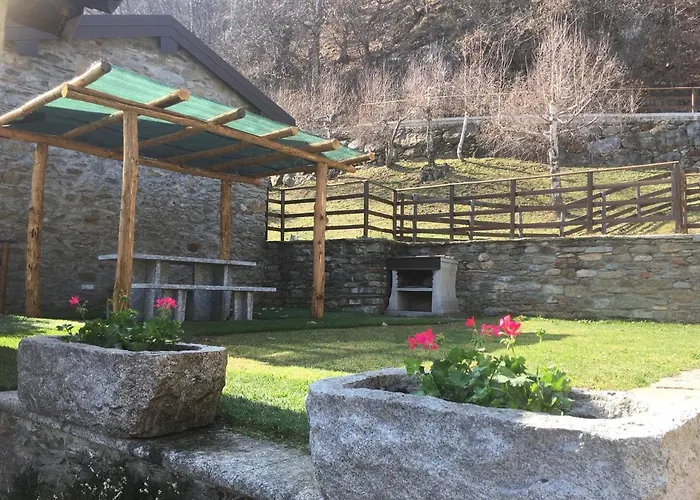 Buonriposo *